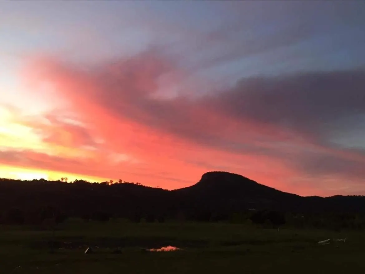 Maroochy River Cabin In The Dam Paddock, 10 Min To The Beach. شاليه Maroochy River